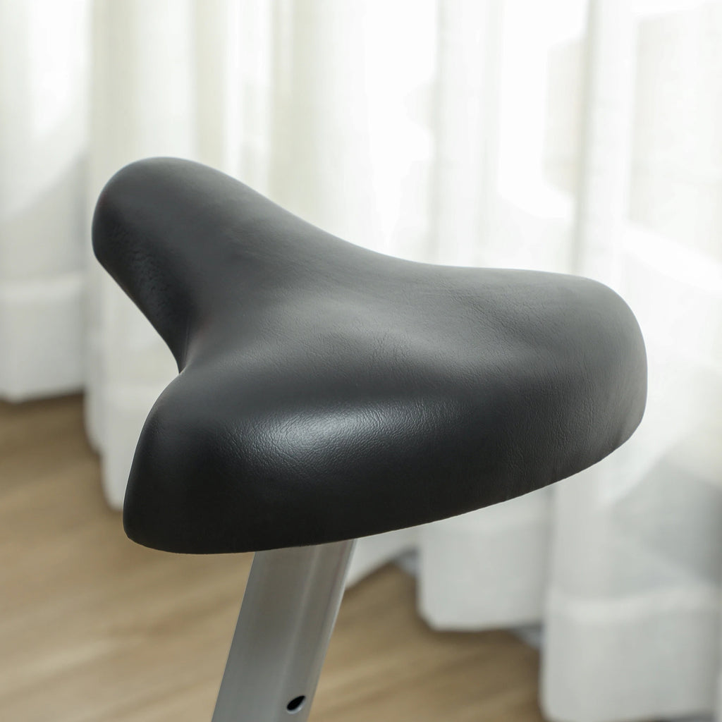 CardioFlex Home Bike